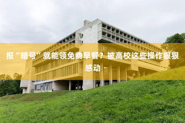 报“暗号”就能领免费早餐？被高校这些操作狠狠感动