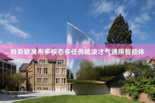 特斯联发布多模态多任务疏浚才气通用智能体