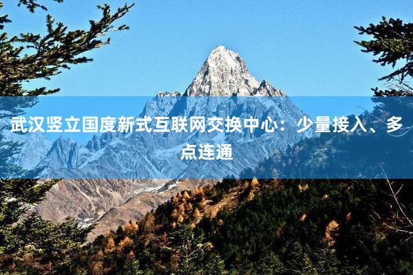 武汉竖立国度新式互联网交换中心：少量接入、多点连通