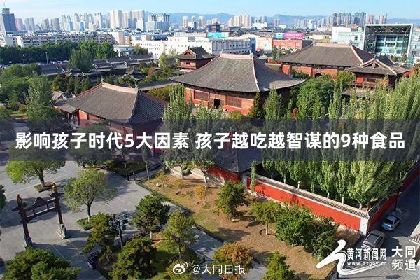 影响孩子时代5大因素 孩子越吃越智谋的9种食品