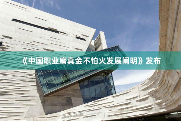《中国职业磨真金不怕火发展阐明》发布