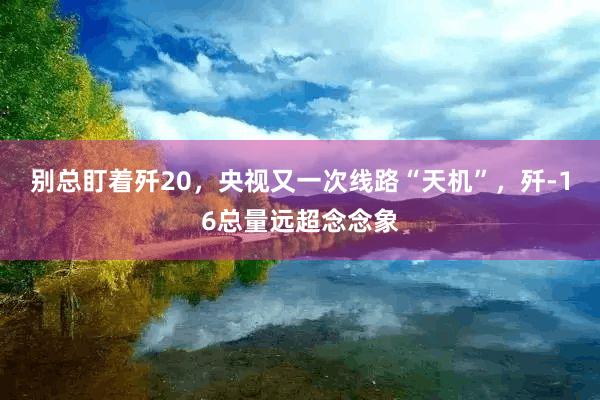 别总盯着歼20，央视又一次线路“天机”，歼-16总量远超念念象