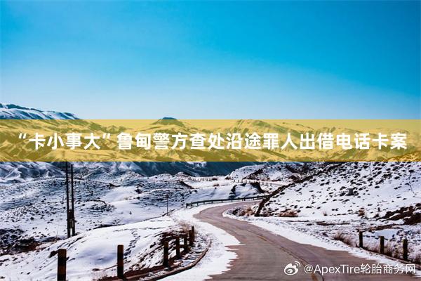 “卡小事大”鲁甸警方查处沿途罪人出借电话卡案