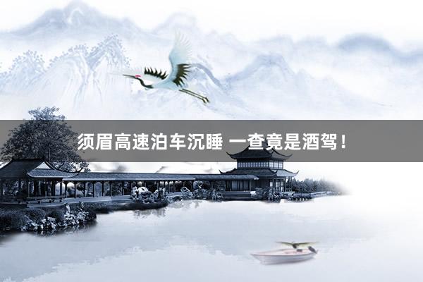 须眉高速泊车沉睡 一查竟是酒驾！