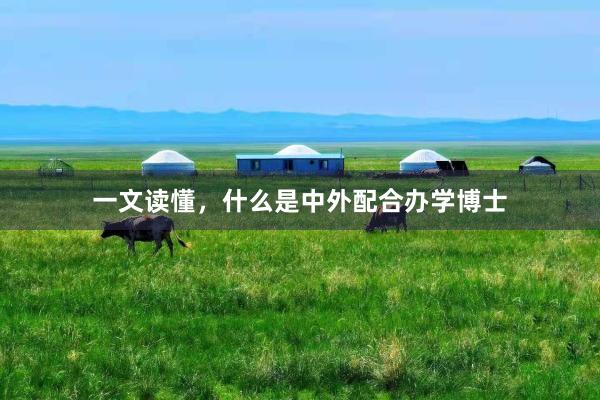 一文读懂，什么是中外配合办学博士