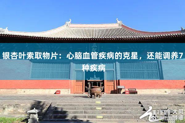 银杏叶索取物片：心脑血管疾病的克星，还能调养7 种疾病