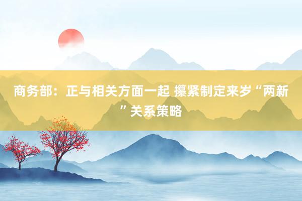 商务部：正与相关方面一起 攥紧制定来岁“两新”关系策略